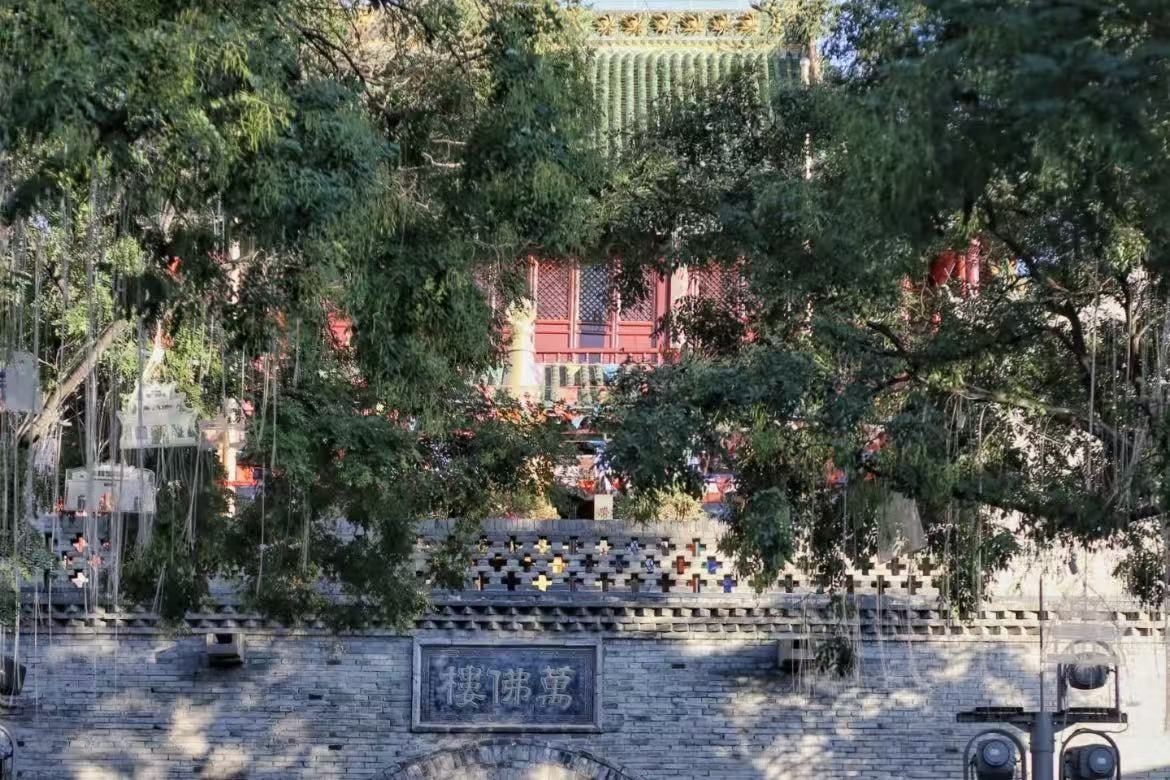 Yulin Ancient City